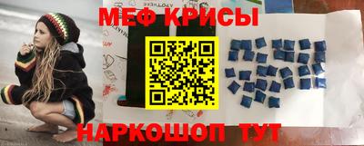индика Кингисепп