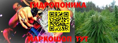 индика Кингисепп