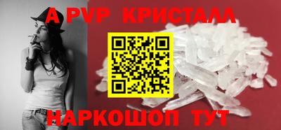 индика Кингисепп