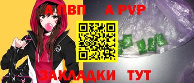 индика Кингисепп