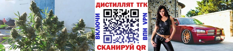 Дистиллят ТГК Wax  магазин    Кострома 