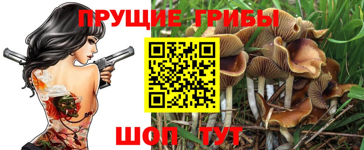 Псилоцибиновые грибы ЛСД  закладки  Кострома  Вход с VPN 