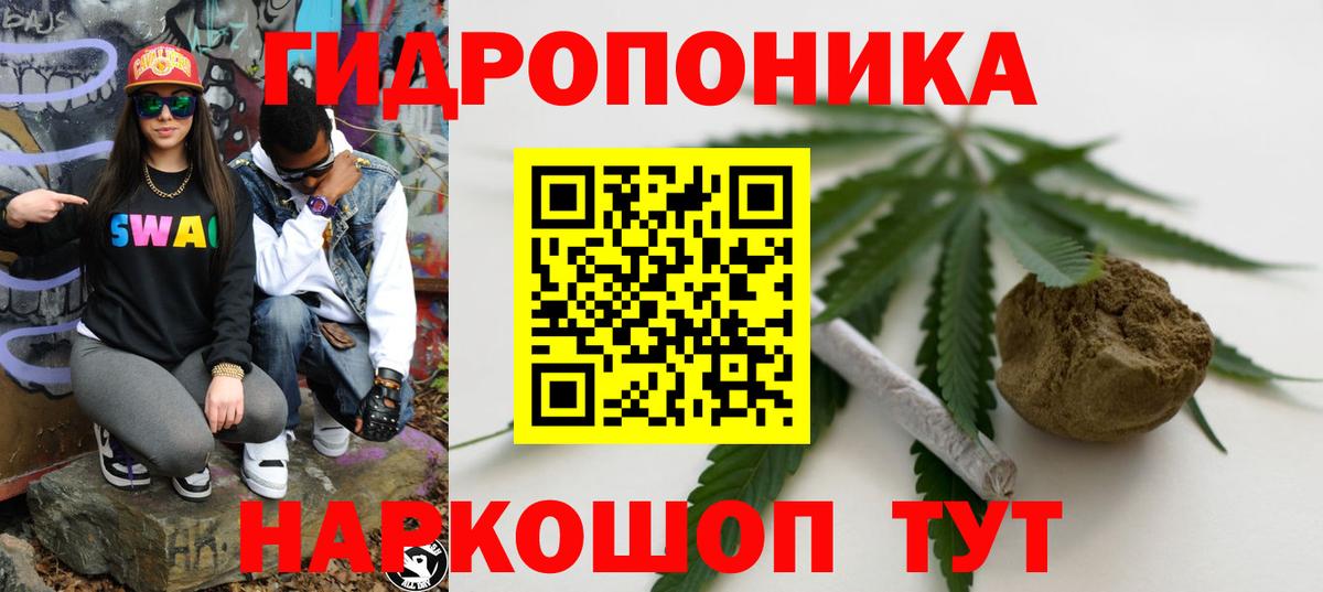 Кострома  Канабис план  Шишки марихуана планчик  МАРИХУАНА OG Kush  Вход с VPN  Бошки марихуана SATIVA & INDICA 